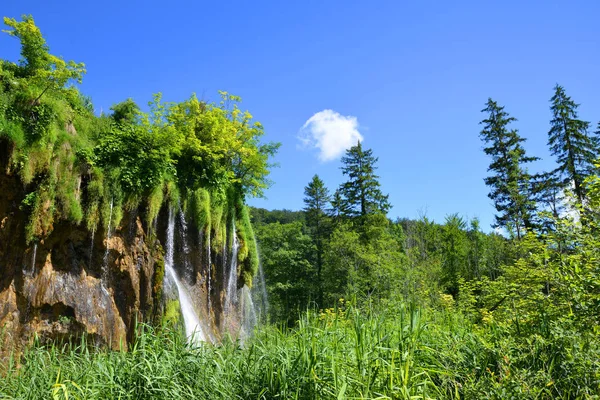 Krásné Vodopády Národním Parku Plitvická Jezera Chorvatsko Evropa — Stock fotografie