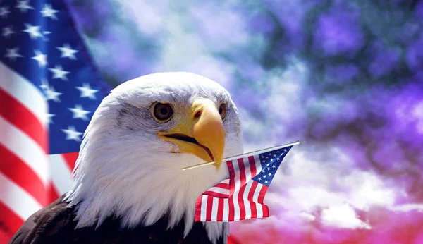 Bald Eagle Amerykańska Flaga Ciemne Chmury Burzowe Tle — Zdjęcie stockowe