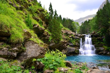 Ordesa ve Monte Perdido Ulusal Parkı 'ndaki şelale. Pireneler dağı. Huesca ili, İspanya.