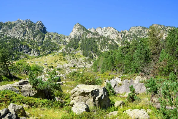 Hegyi Táj Város Cauterets Pyrenees Nemzeti Park Közelében Occitanie Dél — Stock Fotó