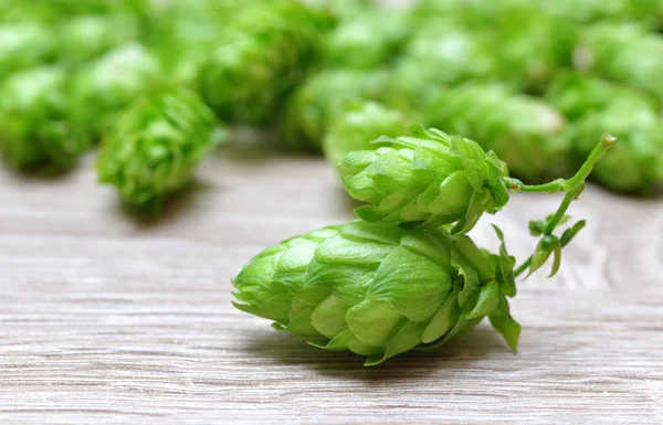 Cones Lúpulo Humulus Lupulus Sobre Tábua Madeira — Fotografia de Stock