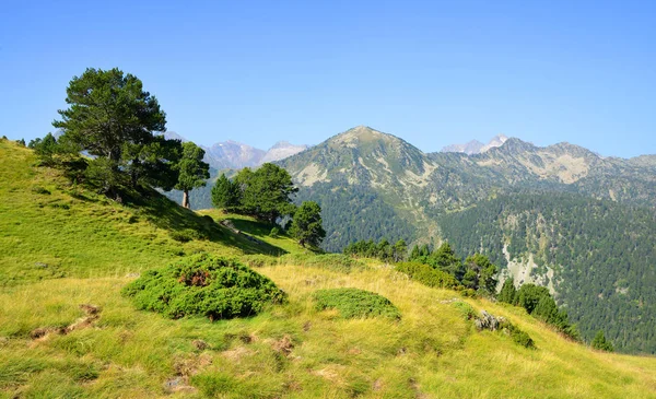 Krásná Horská Krajina Národní Přírodní Rezervaci Neouvielle Francouzské Pyrenejí — Stock fotografie