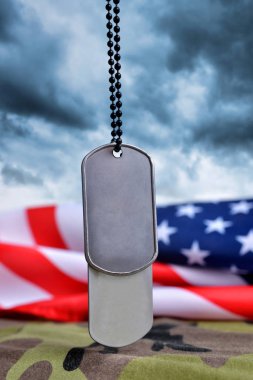 Amerikan bayrağı ve asker rozetleri. Gaziler günü kavramı.