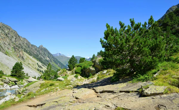 Cauterets 镇附近的山景 国家公园比利牛 Occitanie 在法国的南部 — 图库照片