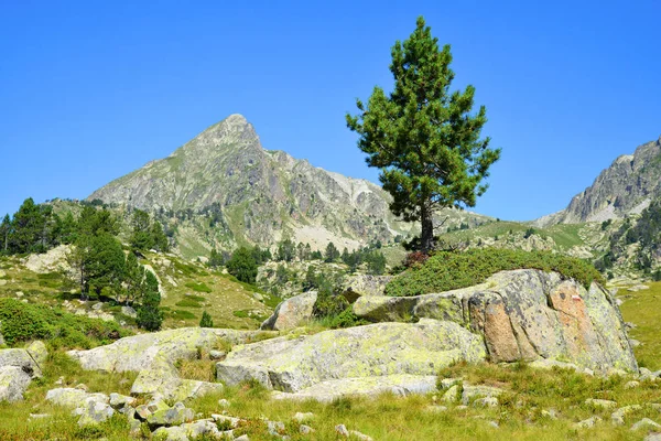 Schöne Berglandschaft Neouvielle National Nature Reserve Französische Pyrenäen — Stockfoto