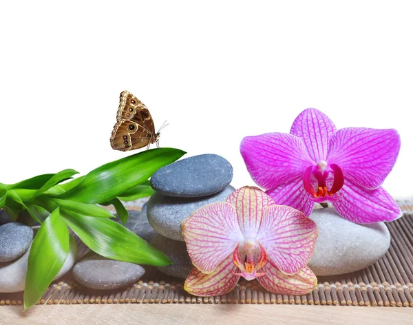 Ciottoli Zen Con Foglie Bambù Fiori Orchidea Sfondo Bianco Spa — Foto Stock