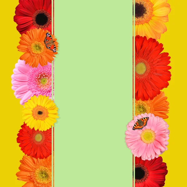 Une Carte Texte Avec Des Fleurs Gerbera Printemps Colorées Contexte — Photo