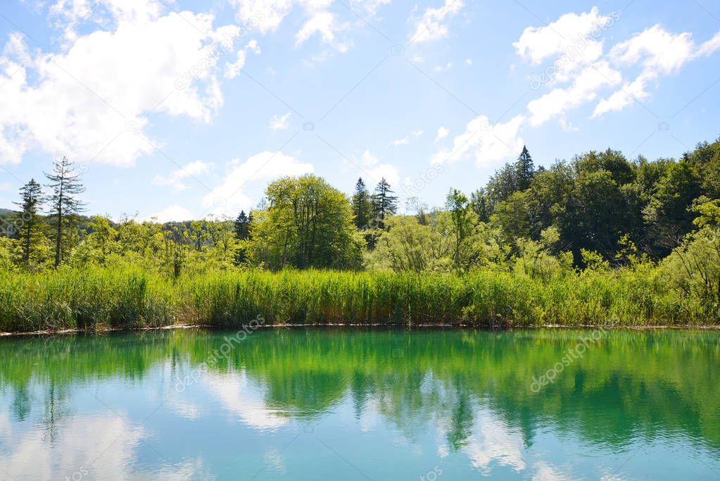 Beautiful landscape in the Plitvice Lakes National Park, Croatia.