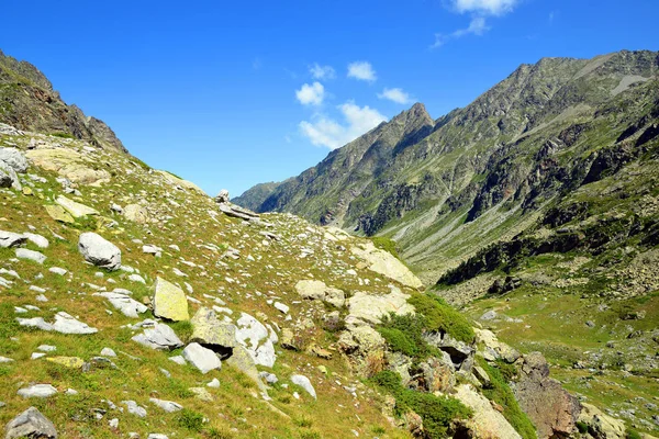 Berglandschaft Der Nähe Der Stadt Cauterets Nationalpark Pyrenäen Occitanie Südfrankreich — Stockfoto