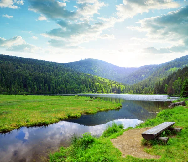 Kleiner Arbersee Lago Parque Nacional Floresta Bávara Alemanha Bela Paisagem — Fotografia de Stock