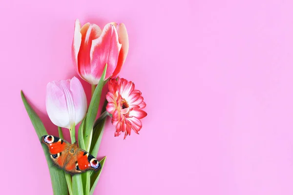 Ανοιξιάτικα Λουλούδια Γερέρα Και Τουλίπα Πεταλούδα Ροζ Φόντο — Φωτογραφία Αρχείου