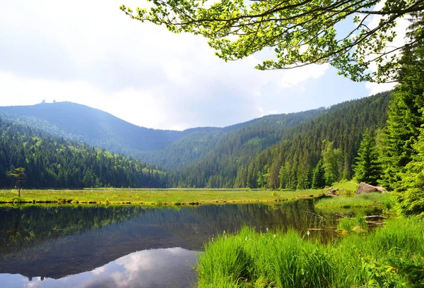 国立公園内のKleiner Arbersee湖 バイエルンの森 ドイツ — ストック写真