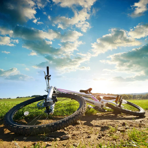 Горный Велосипед Мтб Лежит Сельской Тропе Закате — стоковое фото