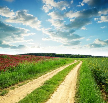 Gün batımında kolza tohumu ve kızıl yonca alanında toprak yol ile Bahar kırsal manzara.