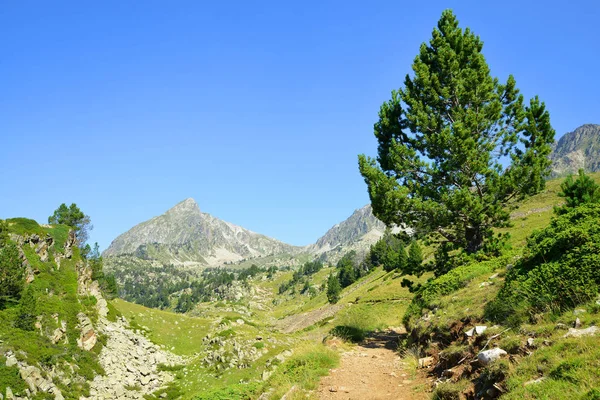Neouvielle Ulusal Doğa Rezerv Fransız Pyrenees Açık Mavi Gökyüzü Ile — Stok fotoğraf