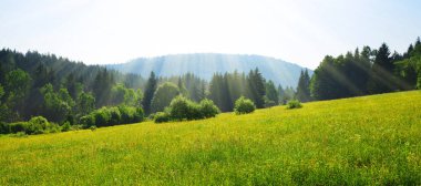 Milli park Bayerische Wald, Almanya. Gün doğumunda bahar manzarası. 