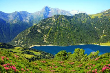 Fransız Pyrenees göl ile güzel dağ manzara. Neouvielle Ulusal doğa rezervi 'ndeki Lac de l 'Oule.