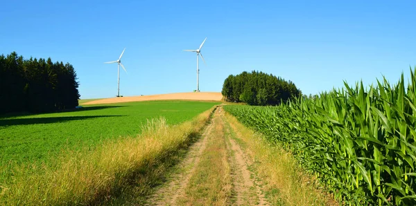 Turbinas Eólicas Paisagem Rural Verão Conceito Energia Limpa — Fotografia de Stock