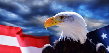 Kuzey Amerika Kel Kartal (Haliaeetus leucocephalus) ve arka planda karanlık fırtına bulutları ile Abd bayrağı. Amerika Birleşik Devletleri vatansever semboller.