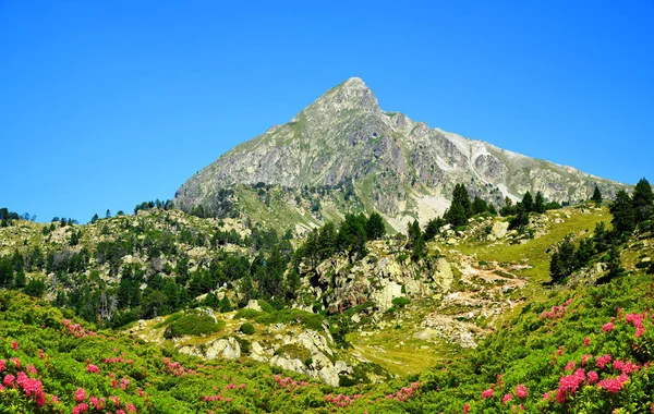 Piękny Górski Krajobraz Neouvielle Narodowy Rezerwat Przyrody Góra Piku Bastan — Zdjęcie stockowe