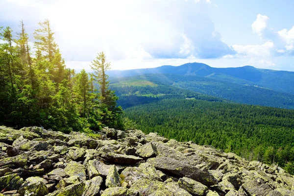 Top Van Berg Svaroh Het Nationaal Park Sumava Tsjechië Uitzicht — Stockfoto