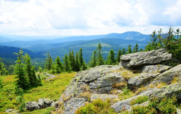 Topo Montanha Svaroh Parque Nacional Sumava República Checa Vista Sobre — Fotografia de Stock
