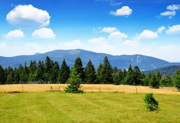 Schöne Berglandschaft Nationalpark Sumava Blick Auf Den Berg Jezerni Hora — Stockfoto