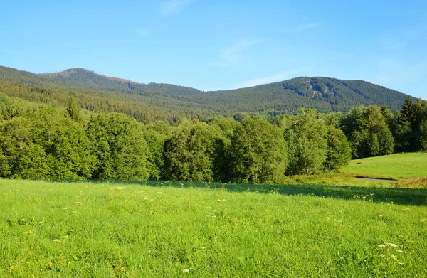 Bergslandskap Nationalparken Sumava Utsikt Över Berget Jezerni Och Spicak Tjeckien — Stockfoto