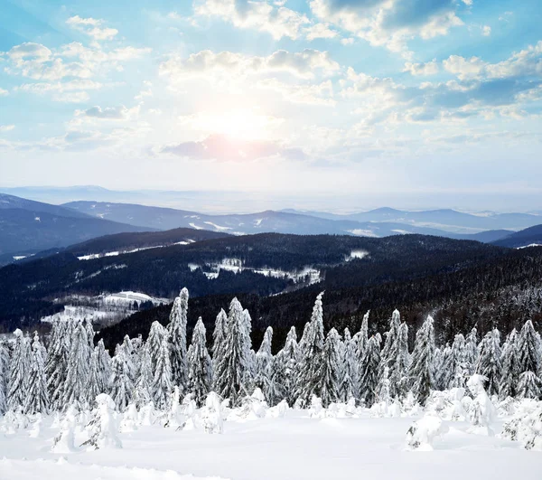 Paysage Hivernal Enneigé Coucher Soleil Vue Mont Pancir Dans Parc — Photo