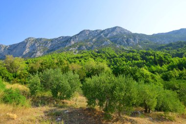 Rilic dağında yaz manzarası. Riviera Makarska, Güney Dalmaçya, Hırvatistan.