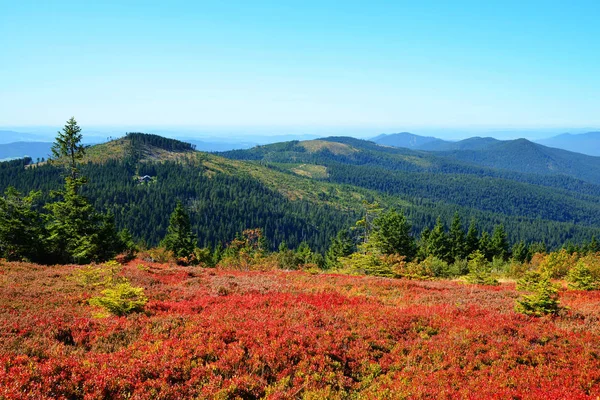 Paesaggio Autunnale Nel Parco Nazionale Bayerischer Wald Vista Dalla Montagna — Foto Stock