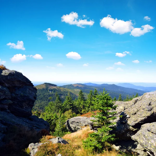 Paisagem Parque Nacional Bayerischer Wald Vista Montanha Grosser Arber Alemanha — Fotografia de Stock