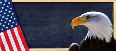 Kel kartal ve Amerikan bayrağı kopya alanı ile.
