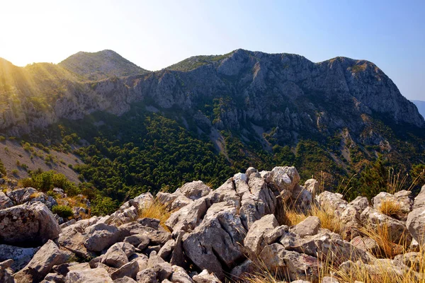 Paesaggio Estivo Nella Montagna Rilic All Alba Riviera Makarska Dalmazia — Foto Stock