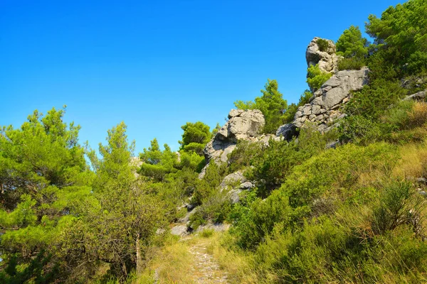 Nyári Táj Rilic Hegységben Riviera Makarska Dél Dalmácia Horvátország — Stock Fotó