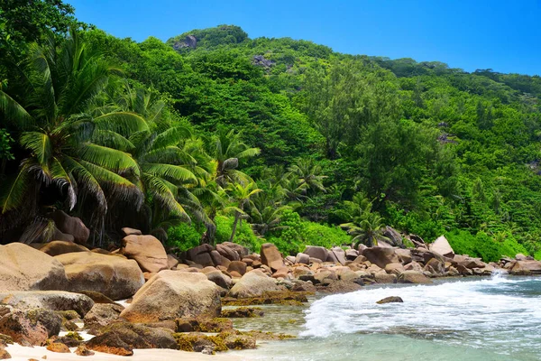 Costa Con Grandi Pietre Granito Sulla Spiaggia Anse Caiman Nell — Foto Stock