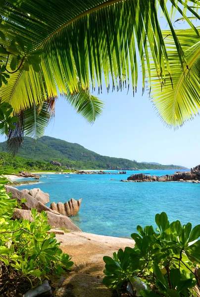 Vista Costa Cerca Playa Grand Anse Isla Digue Océano Índico —  Fotos de Stock