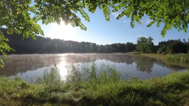 Névoa Manhã Flutuando Acima Lagoa Floresta Paisagem Primavera Nascer Sol — Vídeo de Stock
