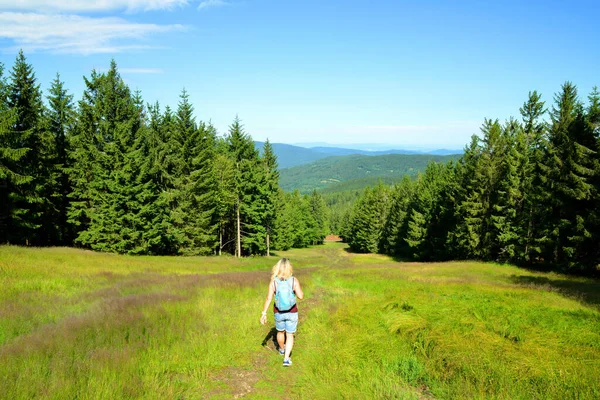 Caminhante Uma Viagem Parque Nacional Sumava Trilha Topo Montanha Pancir — Fotografia de Stock