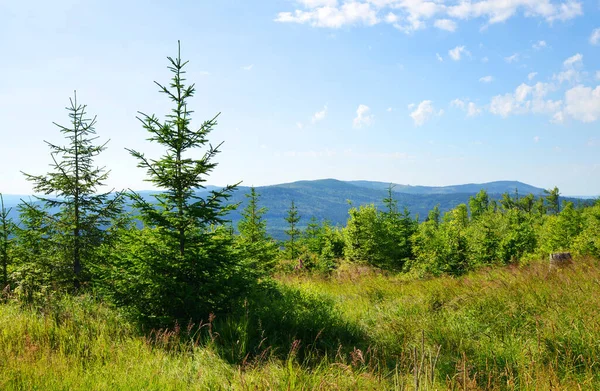 Letni Krajobraz Parku Narodowym Sumava Widok Góry Pancir Republika Czeska — Zdjęcie stockowe
