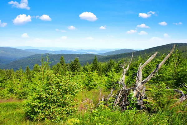 Летний Пейзаж Национальном Парке Сумава Вид Горы Пансир Чехия — стоковое фото