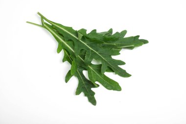 beyaz zemin üzerine yeşil taze ruccola izole, atış studio yakın