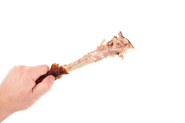 Mão segurando uma perna de frango mordiscado, isolado no fundo branco — Fotografia de Stock