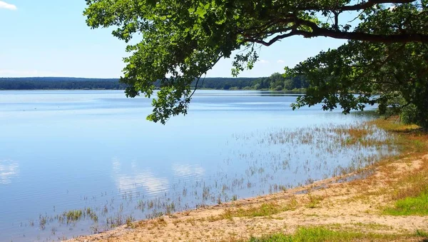 Uma Vista Panorâmica Bela Lagoa Dvoriste Perto Cidade Trebon Boêmia — Fotografia de Stock