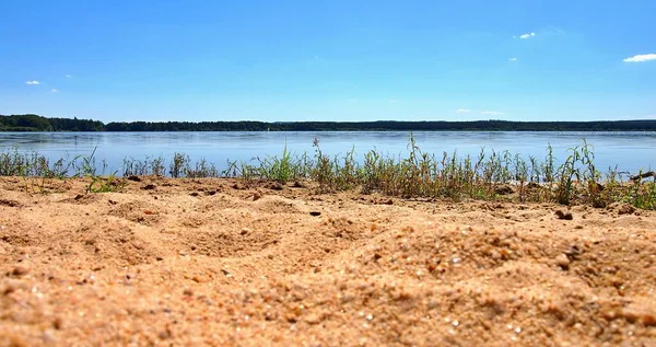 Bord Sablonneux Magnifique Étang Dvoriste Près Trebon Bohême Sud République — Photo