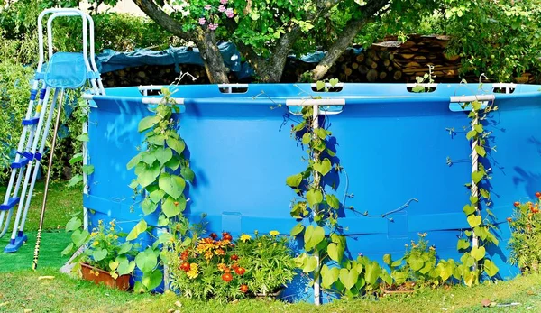 Blaues Schwimmbad Mit Grünen Blättern Und Anderen Blumen Garten Überwachsen — Stockfoto