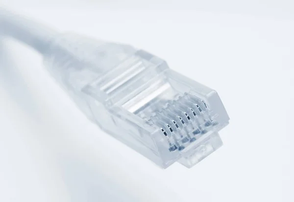 Beyaz Arkaplan Üzerinden Lan Bağlantısı Için Yama Kablosunun Rj45 Bağlantısının — Stok fotoğraf