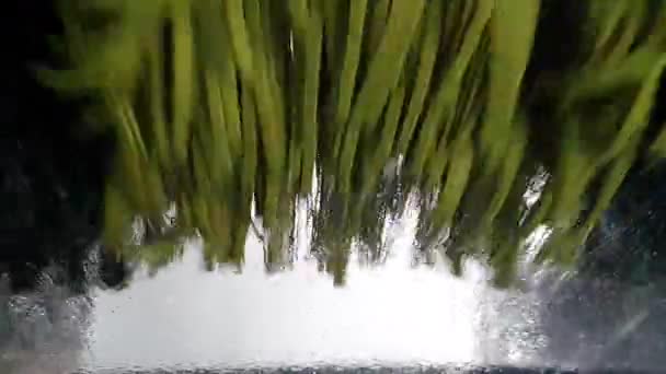 車の洗浄 スローモーションでフロントガラスを掃除するブラシの回転 — ストック動画