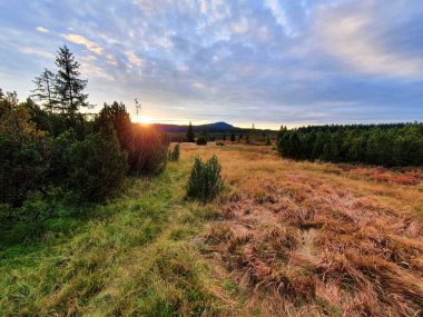 Sumava Ulusal Parkı 'ndaki Kvilda köyü yakınlarındaki turba bataklığı üzerinde güzel bir gün batımı..