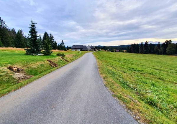 Landweg Buurt Van Kvilda Dorp Tussen Weiden Sumava National Park — Stockfoto